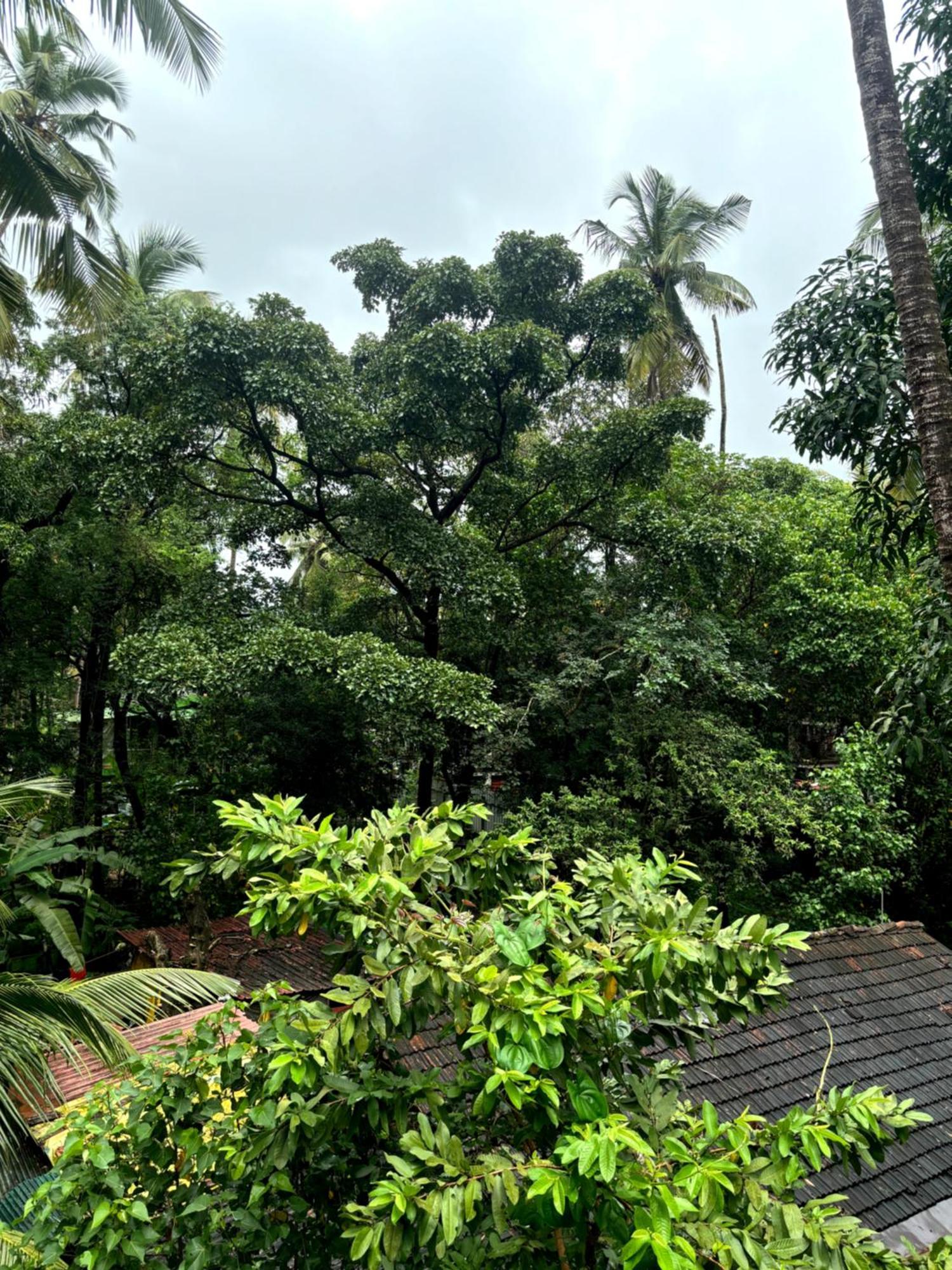 Hotel Harmony By Heaven Calangute Exteriör bild